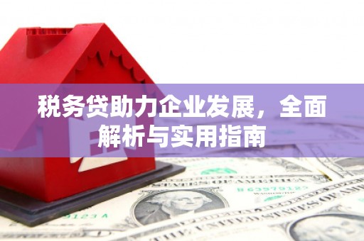 贡山税务贷助力企业发展，全面解析与实用指南