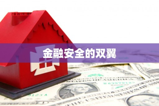 中卫金融安全的双翼
