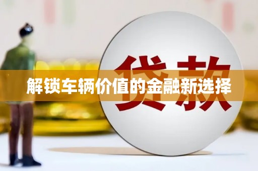 定州解锁车辆价值的金融新选择