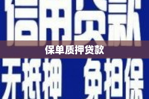 吴堡保单质押贷款