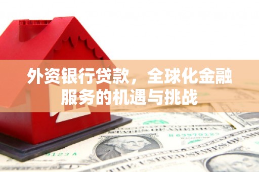 勐腊外资银行贷款，全球化金融服务的机遇与挑战