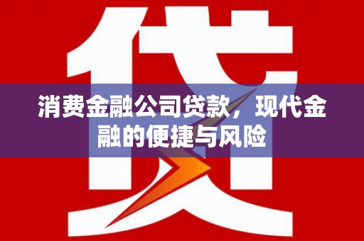 怒江消费金融公司贷款，现代金融的便捷与风险