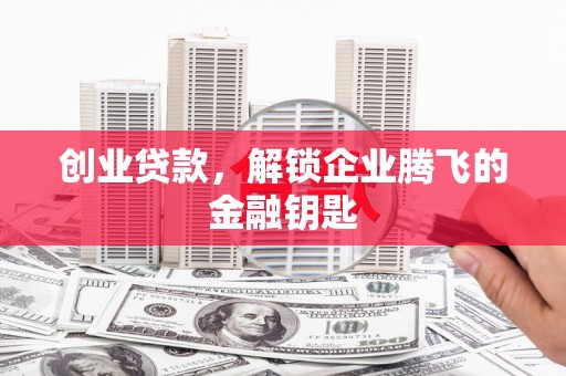 临高创业贷款，解锁企业腾飞的金融钥匙