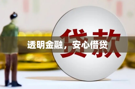 新乐透明金融，安心借贷