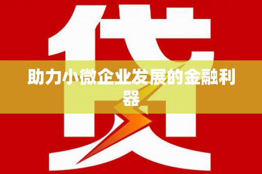 中站助力小微企业发展的金融利器