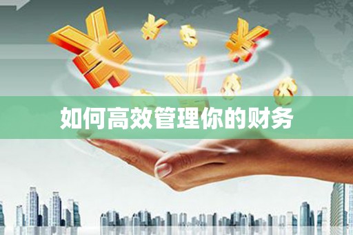 陆川如何高效管理你的财务