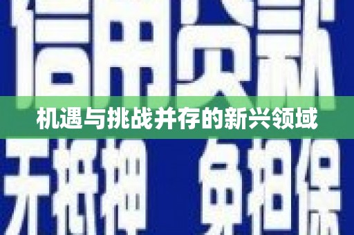 日喀则机遇与挑战并存的新兴领域