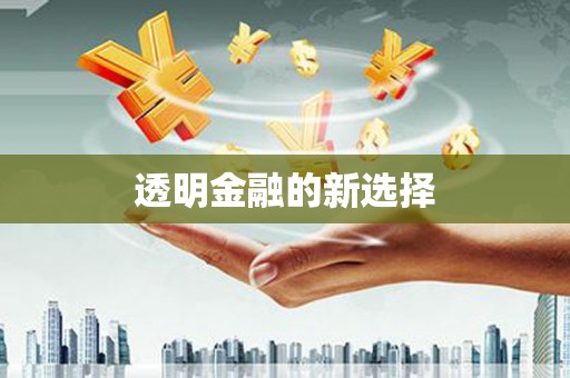 武穴透明金融的新选择