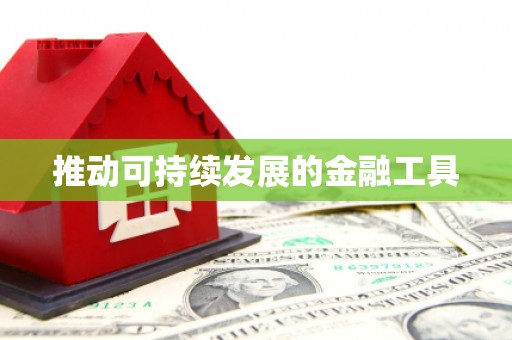 环江推动可持续发展的金融工具