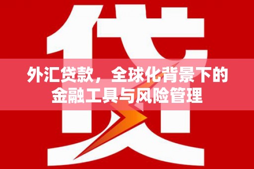 久治外汇贷款，全球化背景下的金融工具与风险管理